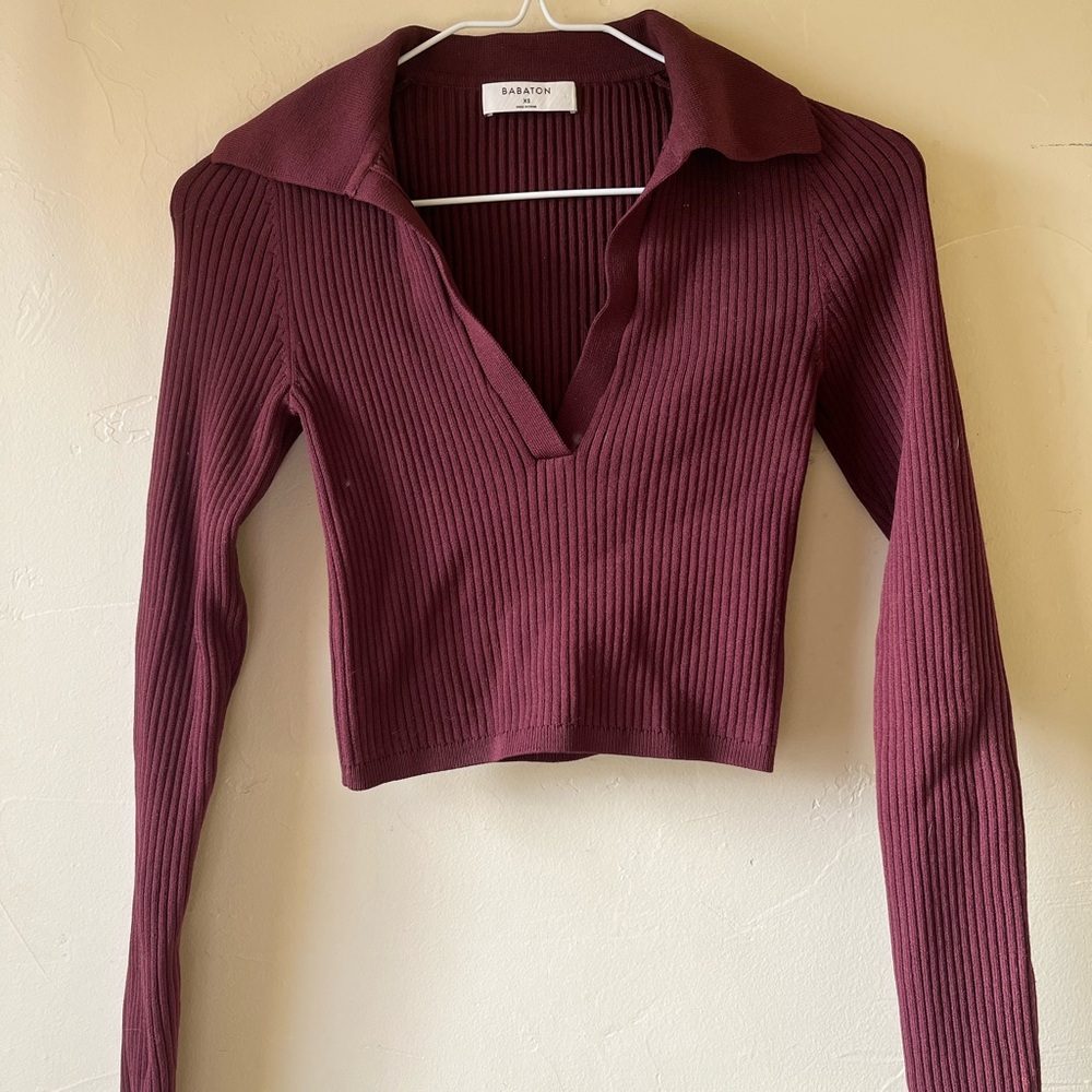 Babaton by Aritizia Ribbed Polo
